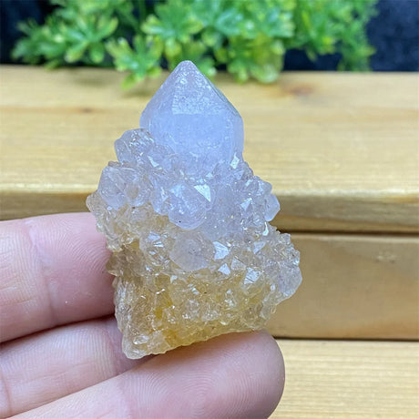 Crystal rock held in a hand with a wooden surface and greenery in the background