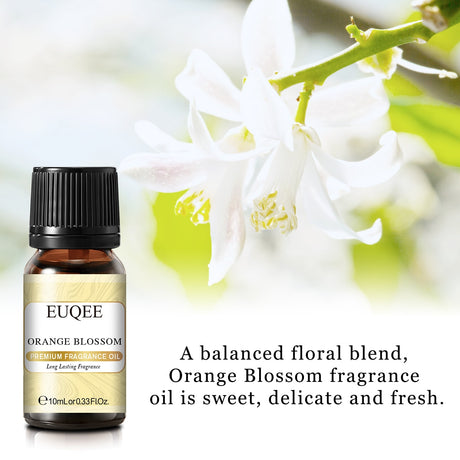 EUQEE Orange Blossom fragrance oil bottle with white flowers in the background