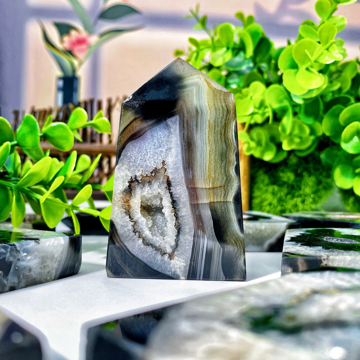 Geode crystal with layered patterns on a white surface with green plants in the background