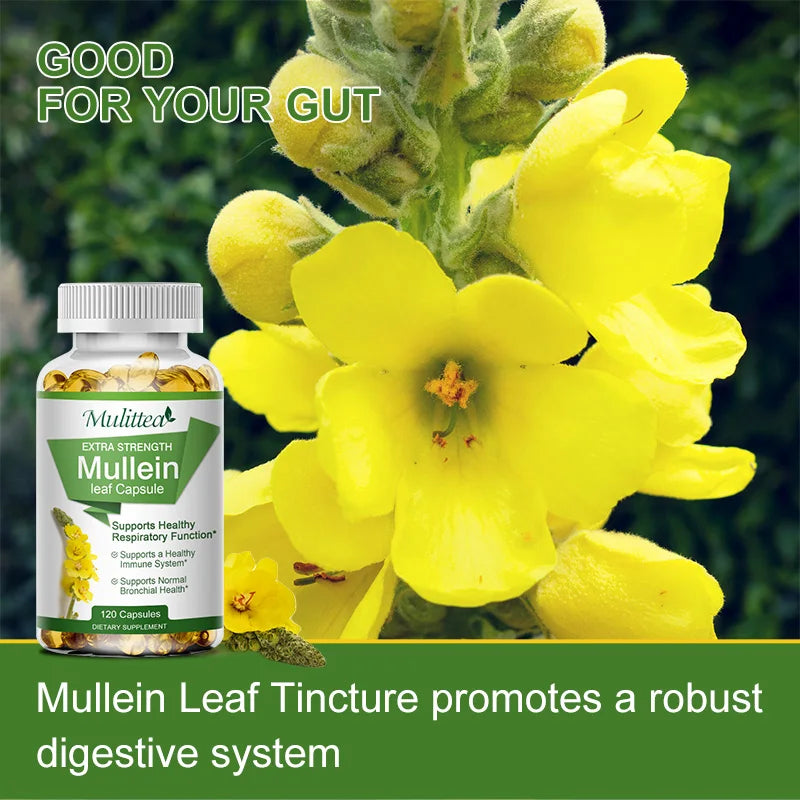 Bottle of Mullein Leaf Tincture with yellow mullein flowers in the background