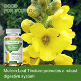 Bottle of Mullein Leaf Tincture with yellow mullein flowers in the background