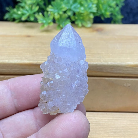 Crystal rock held in a hand with a wooden surface and greenery in the background