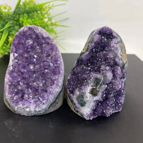Two purple crystal rocks on a black surface with greenery in the background