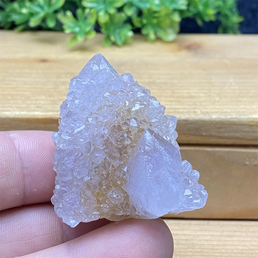 Clear crystal rock held between fingers with a wooden surface and greenery in the background