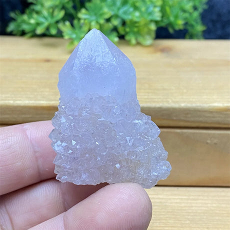 Crystal tower held in a hand with a wooden surface and greenery in the background