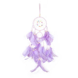 Purple dreamcatcher with feathers on a white background