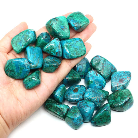 Turquoise stones held in a hand with a white background