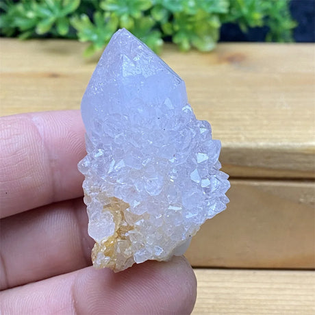 Clear crystal rock held between fingers with a wooden surface and greenery in the background