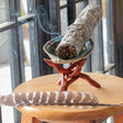 Sage smudge stick in a shell on a wooden stand with a feather, against a blurred indoor background.