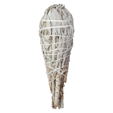 Bundled sage sticks tied with white string on a white background