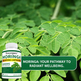 Tecepec Moringa Oleifera Capsules bottle with green leaves in the background