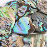 Close-up of abalone shell guitar picks on a white background