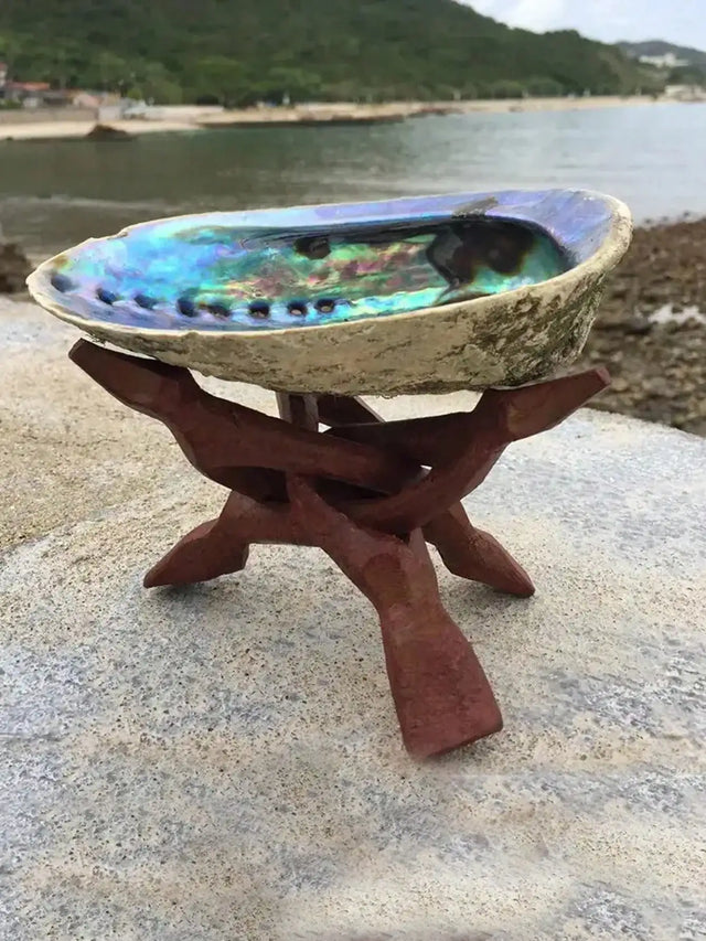 Abalone shell on a wooden stand with a beach background