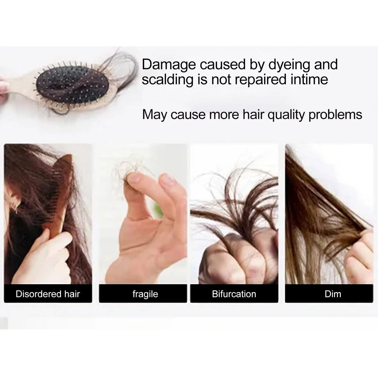 Illustration of hair damage caused by dyeing and scalping, with text and images of disordered hair, fragility, bifurcation, and dimness.