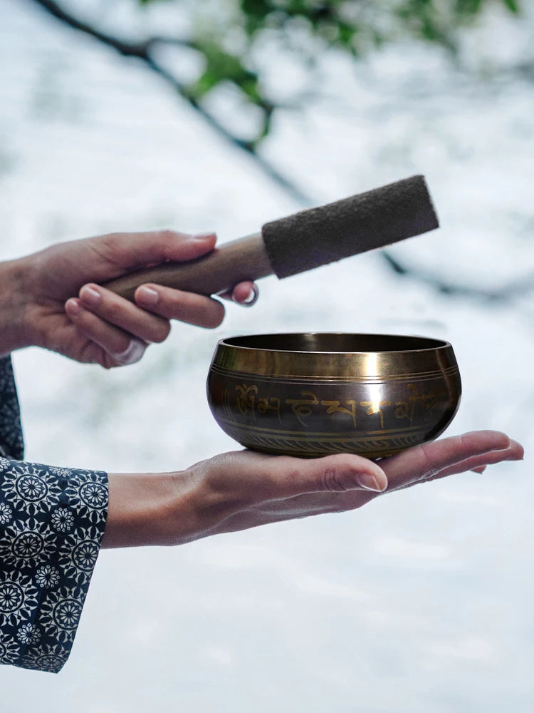 Person holding a bronze singing bowl with a mallet outdoors