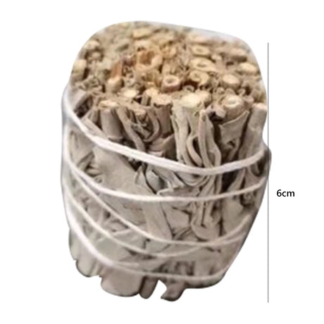 Bundled white sage sticks with a measurement label on a white background