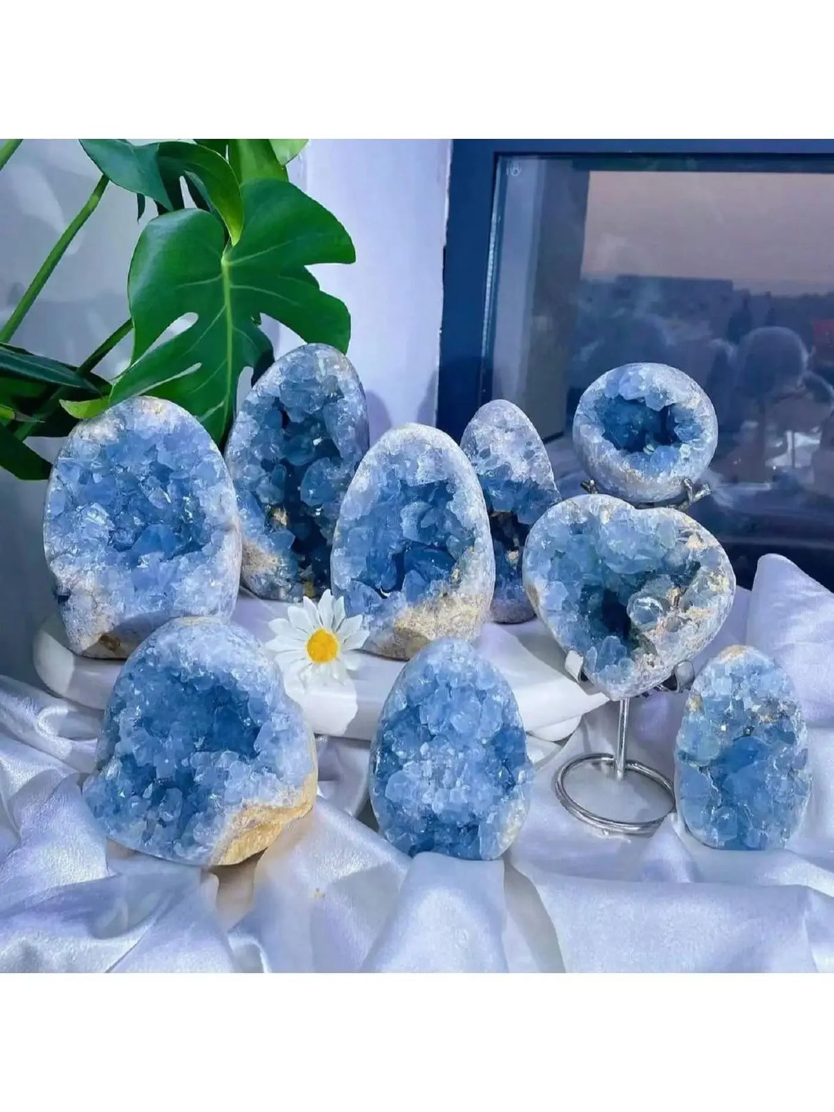 Collection of blue crystal geodes on a white surface with a plant in the background