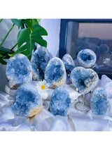 Collection of blue crystal geodes on a white surface with a plant in the background