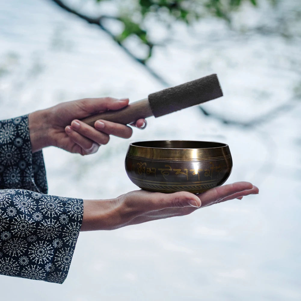 Person holding a bronze singing bowl with a stick outdoors