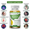 Bottle of Mullein Leaf Capsules with health benefits listed on a white background