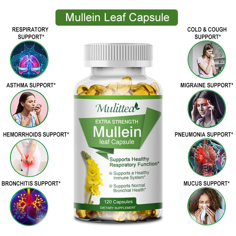 Bottle of Mullein Leaf Capsules with health benefits listed on a white background