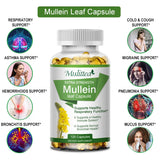 Bottle of Mullein Leaf Capsules with health benefits listed on a white background