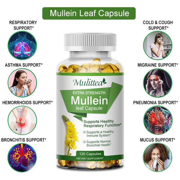 Bottle of Mullein Leaf Capsules with health benefits listed on a white background