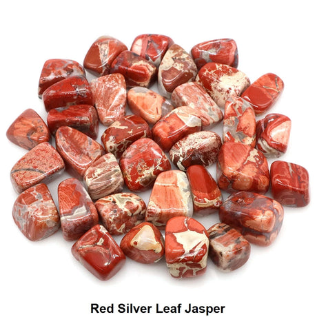 Red Silver Leaf Jasper stones on a white background