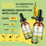 Two bottles of Mullein Liquid Extract with absorption information on a green and yellow background.