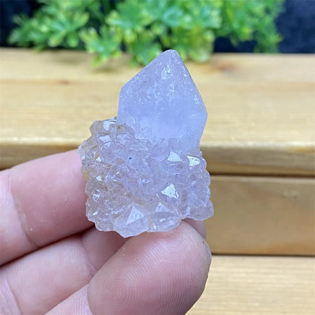 Hand holding a clear crystal with a natural background