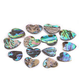 Heart-shaped abalone shells on a white background