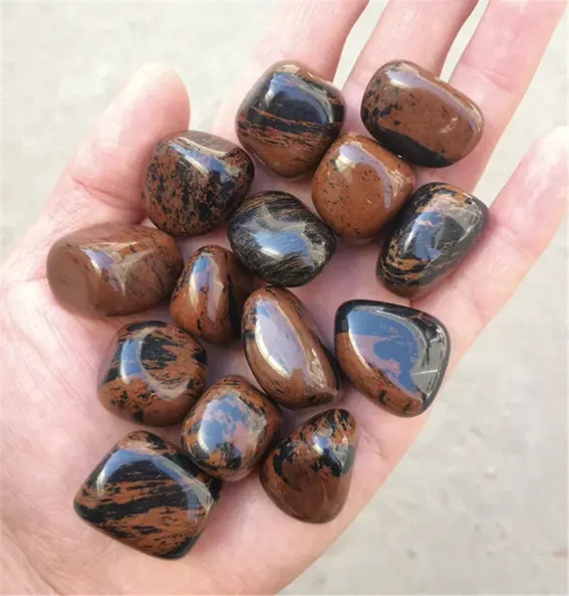 Hand holding a collection of polished brown and black stones
