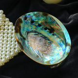 Abalone shell with pearls on a dark background