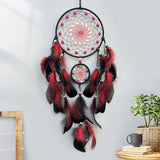 Black and red dreamcatcher on a white wall with a plant and books in the background.