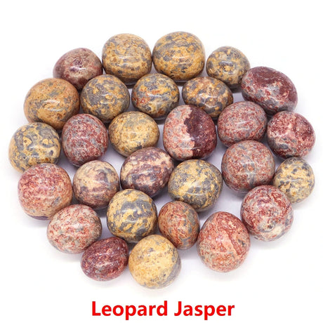 Leopard Jasper stones on a white background with 'Leopard Jasper' text.
