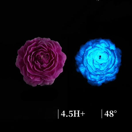 Two glowing flowers, one purple and one blue, on a black background with text indicating duration and temperature.