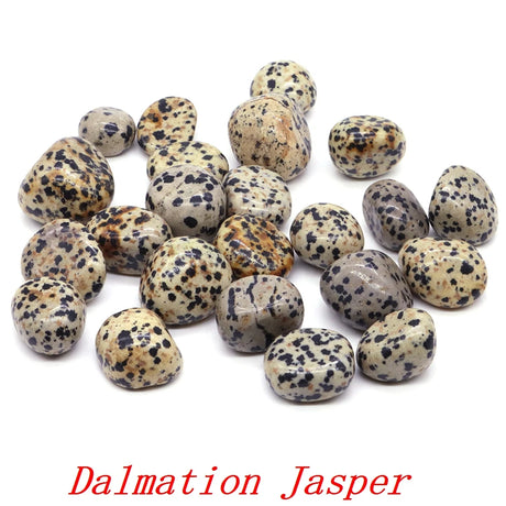 Dalmation Jasper stones on a white background with 'Dalmation Jasper' text.