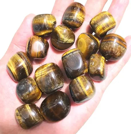 Hand holding a collection of tiger's eye stones
