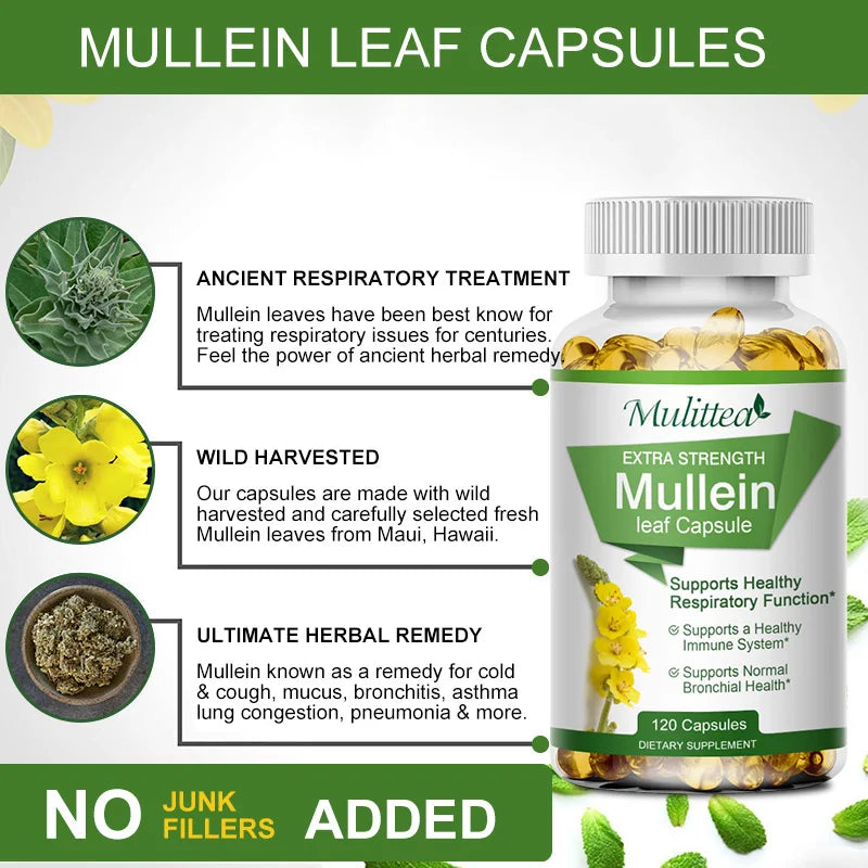 Bottle of Mullein leaf capsules with text about the product on a white background