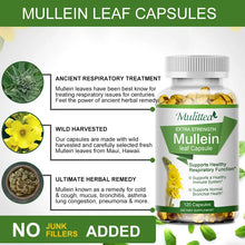 Bottle of Mullein leaf capsules with text about the product on a white background