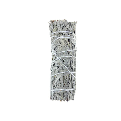 Bundled sage sticks tied with twine on a white background