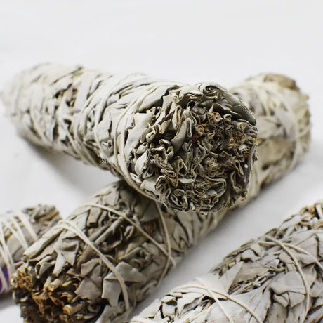 Three sage smudge sticks on a white background