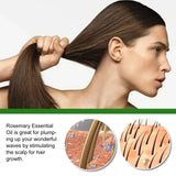 Woman with long hair, showing scalp and hair follicles with text about Rosemary Essential Oil benefits.