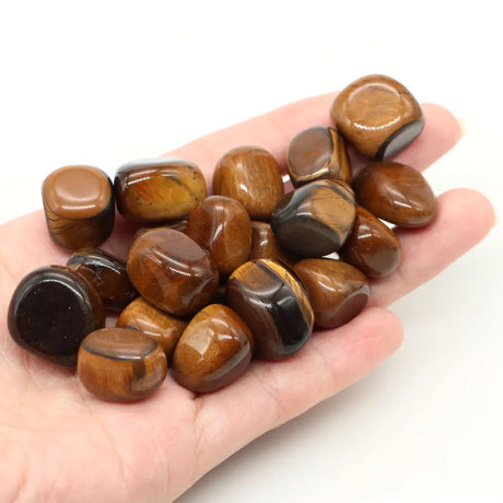 Hand holding a collection of brown tiger eye stones on a white background