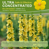 Mullein flowers with text about ultra-safe and effective mullein extract on a green background