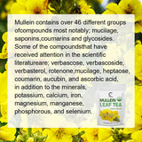 Mullein leaf tea package with text about mullein's compounds and health benefits on a yellow flower background.