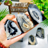 Person holding two crystal geodes with a natural setting featuring plants and a wooden bench.