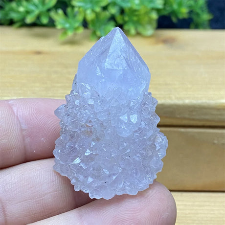 Crystal rock held between fingers with a wooden surface and greenery in the background