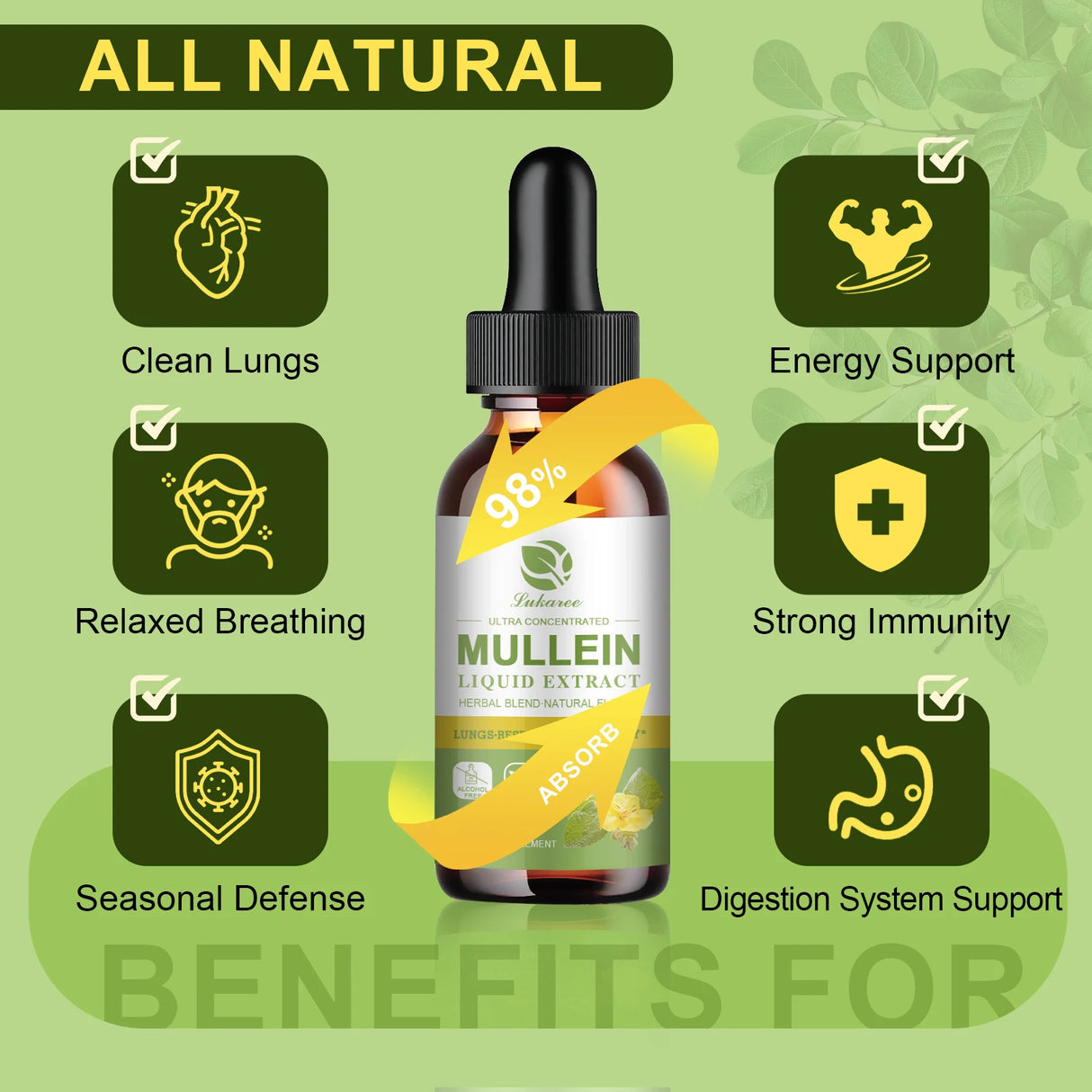 Bottle of mullein liquid extract with benefits listed on a green background