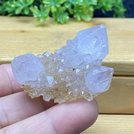 Clear crystal cluster held in a hand with a wooden surface and greenery in the background